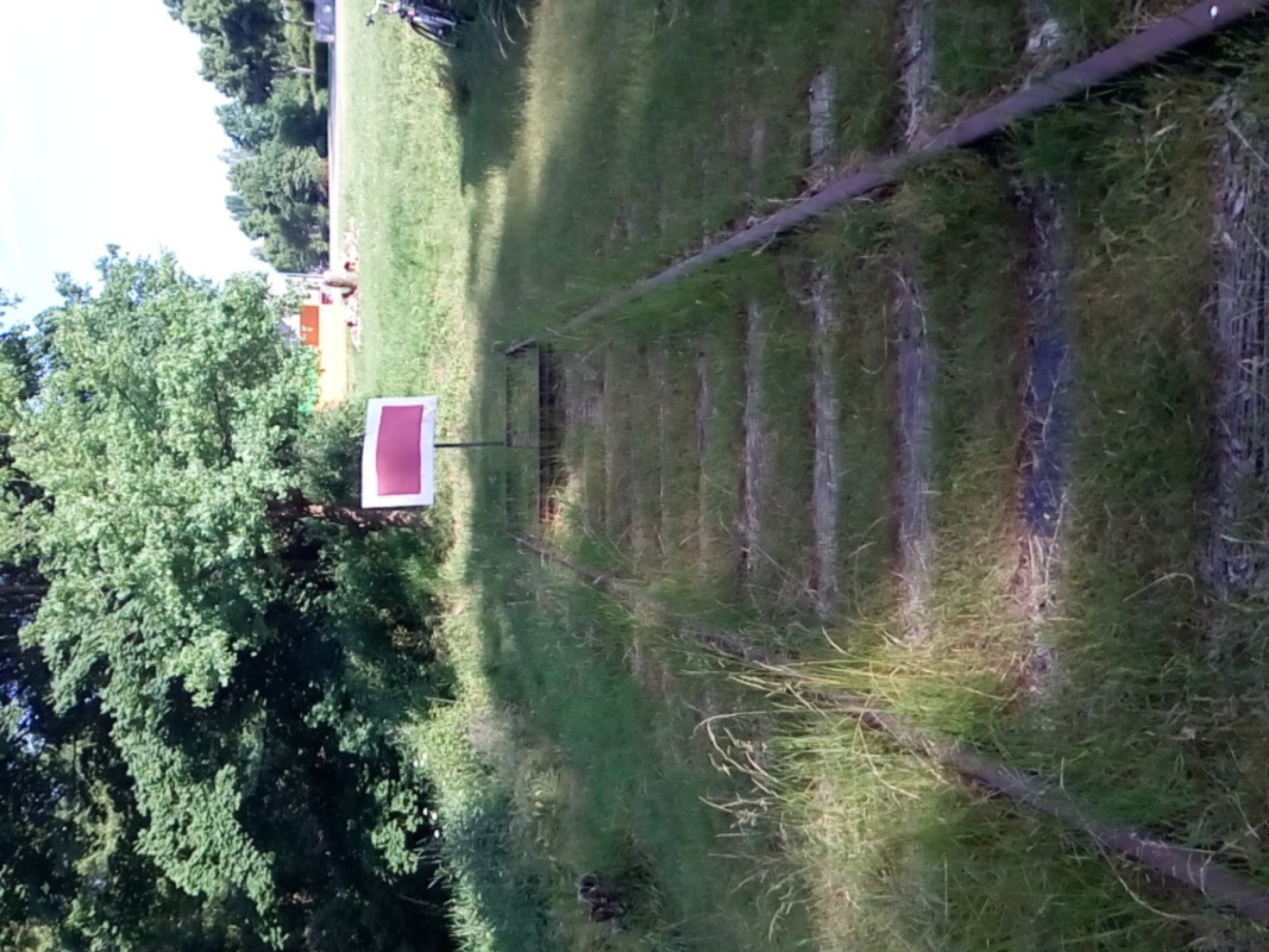 Bahnhof2